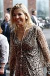 Amsterdam 4 maart 2011
Prinses maxima arriveert en vertrekt bij willem de zwijger pakhuis in sexy jurkje met tijgerprint.
Peter Smulders bv