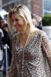 Amsterdam 4 maart 2011
Prinses maxima arriveert en vertrekt bij willem de zwijger pakhuis in sexy jurkje met tijgerprint.
Peter Smulders bv