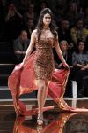 Amsterdam 28 januari 2011
Modeshow Addy van den Krommenacker bij AIFW.
Peter Smulders bv