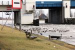 Leeuwaarden, 15 Februari 2012
Boot Holland 2012

Foto Peter Smulders BV