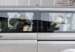 Innsbruck 20 februari 2012
Koningin Beatrix Prinses mabel en prinses Luana vertrekken bij het ziekenhuis van Innsbruck waar Prins Friso ligt na zijn ski ongeluk.
Peter Smulders bv
