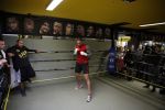 Oostzaan 11 maart 2013
Persconferentie en training Badr Hari bij Mike's gym.
Peter Smulders bv