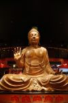 Amsterdam 6 maart 2013
Presentatie nieuwe net5 programma Sabotage in little buddha bar.
Peter Smulders bv