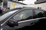 Schiphol 17 maart 2013
Badr Hari en Estelle Cruijff  komen terug van de K1 finale in Zagreb waar Badr zijn voet gebroken heeft . Badr wordt in een rolstoel naar zijn auto gebracht.
Peter Smulders bv