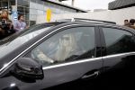 Schiphol 17 maart 2013
Badr Hari en Estelle Cruijff  komen terug van de K1 finale in Zagreb waar Badr zijn voet gebroken heeft . Badr wordt in een rolstoel naar zijn auto gebracht.
Peter Smulders bv