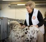 Dordrecht 15 maart 2013
Koningin Beatrix Prinses Margriet Tjalling ten Cate Prins Bernhard jr Prins Floris en Prins Bernhard jr voor NL DOET bij het Duurzaamheidscentrum  center) Weitzigt in Dordrecht.
Peter Smulders bv