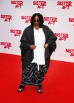 Scheveningen 3maart 2013
Premiere sisteract in het circustheater. Whoopi Goldberg
Peter Smulders bv