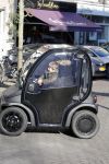Amsterdam 17 februari 2016 
Danie Bles met kinderen in 40 km wagentje / karretje