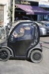 Amsterdam 17 februari 2016 
Danie Bles met kinderen in 40 km wagentje / karretje