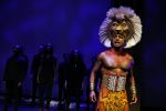 Amsterdam 16 februari 2016 
Presentatie van de Lion king in het stedelijk museum door Albert Verlinde en irene Moors.