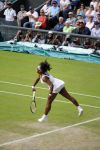 Wimbledon, 7 Juli 2015