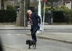 Amsterdam 13 februari 2016  
Tom Egbers laat hond uit