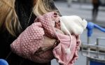 Schiphol 17 februari 2017 
Xander en Sophie de Buisonje komen met hun dochter Cela Lynn en zoon Dex aan op schiphol. Beide ouders familie en Sem v Dijk wachten ze op . Ook de hond is meegekomen.