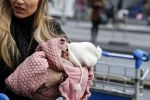 Schiphol 17 februari 2017 
Xander en Sophie de Buisonje komen met hun dochter Cela Lynn en zoon Dex aan op schiphol. Beide ouders familie en Sem v Dijk wachten ze op . Ook de hond is meegekomen.