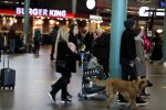 Schiphol 17 februari 2017 
Xander en Sophie de Buisonje komen met hun dochter Cela Lynn en zoon Dex aan op schiphol. Beide ouders familie en Sem v Dijk wachten ze op . Ook de hond is meegekomen.