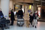 Schiphol 17 februari 2017 
Xander en Sophie de Buisonje komen met hun dochter Cela Lynn en zoon Dex aan op schiphol. Beide ouders familie en Sem v Dijk wachten ze op . Ook de hond is meegekomen.