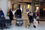 Schiphol 17 februari 2017 
Xander en Sophie de Buisonje komen met hun dochter Cela Lynn en zoon Dex aan op schiphol. Beide ouders familie en Sem v Dijk wachten ze op . Ook de hond is meegekomen.