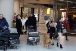 Schiphol 17 februari 2017 
Xander en Sophie de Buisonje komen met hun dochter Cela Lynn en zoon Dex aan op schiphol. Beide ouders familie en Sem v Dijk wachten ze op . Ook de hond is meegekomen.