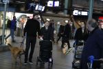 Schiphol 17 februari 2017 
Xander en Sophie de Buisonje komen met hun dochter Cela Lynn en zoon Dex aan op schiphol. Beide ouders familie en Sem v Dijk wachten ze op . Ook de hond is meegekomen.