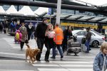 Schiphol 17 februari 2017 
Xander en Sophie de Buisonje komen met hun dochter Cela Lynn en zoon Dex aan op schiphol. Beide ouders familie en Sem v Dijk wachten ze op . Ook de hond is meegekomen.