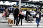 Schiphol 17 februari 2017 
Xander en Sophie de Buisonje komen met hun dochter Cela Lynn en zoon Dex aan op schiphol. Beide ouders familie en Sem v Dijk wachten ze op . Ook de hond is meegekomen.