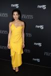 Amsterdam 6 februari 2018
Premiere 50 shades Freed in Tuschinski. Anna Nooshin