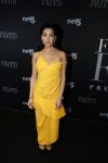 Amsterdam 6 februari 2018
Premiere 50 shades Freed in Tuschinski. Anna Nooshin
