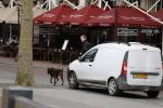 Amsterdam 6 maart 2018
Beveiliging met honden bij opbames RTL Late night in NH hotel Schiller
