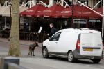 Amsterdam 6 maart 2018
Beveiliging met honden bij opbames RTL Late night in NH hotel Schiller