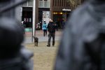Amsterdam 6 maart 2018
Beveiliging met honden bij opbames RTL Late night in NH hotel Schiller