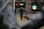 Amsterdam 6 maart 2018
Beveiliging met honden bij opbames RTL Late night in NH hotel Schiller