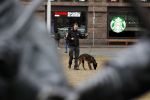 Amsterdam 6 maart 2018
Beveiliging met honden bij opbames RTL Late night in NH hotel Schiller