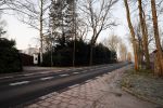 Loosdrecht 21 februari 2018
Gedenkteken voor Fleur Balkestein , het meisje van 19 die doodgereden werd na straatrace vader en zoon