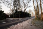 Loosdrecht 21 februari 2018
Gedenkteken voor Fleur Balkestein , het meisje van 19 die doodgereden werd na straatrace vader en zoon
