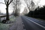 Loosdrecht 21 februari 2018
Gedenkteken voor Fleur Balkestein , het meisje van 19 die doodgereden werd na straatrace vader en zoon