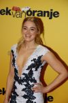 Amsterdam 12 februari 2018
Premiere Gek van Oranje in Tuschinski. jan Versteegh en Geraldine Kemper