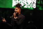 Amsterdam 12 februari 2018
Uitreiking Edison muziekprijzen in de westergasfabriek. Ronnie Flex