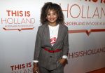 Amsterdam 1 februari 2018 
Opening This is Holland. Stephanie v Eer