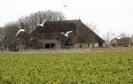 Friesland 1 maart 2019
Boederij / huis Job Gosschalk.