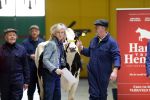 Enschede 26 februari 2019
Presentatie cast van Hanna van Hendrik met oa Huub Stapel en Johanna ter Steege. Presentatie is op vliegveld Twente.