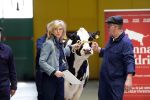 Enschede 26 februari 2019
Presentatie cast van Hanna van Hendrik met oa Huub Stapel en Johanna ter Steege. Presentatie is op vliegveld Twente.