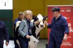 Enschede 26 februari 2019
Presentatie cast van Hanna van Hendrik met oa Huub Stapel en Johanna ter Steege. Presentatie is op vliegveld Twente.