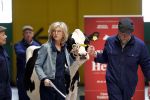 Enschede 26 februari 2019
Presentatie cast van Hanna van Hendrik met oa Huub Stapel en Johanna ter Steege. Presentatie is op vliegveld Twente.