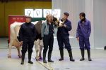 Enschede 26 februari 2019
Presentatie cast van Hanna van Hendrik met oa Huub Stapel en Johanna ter Steege. Presentatie is op vliegveld Twente.