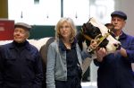 Enschede 26 februari 2019
Presentatie cast van Hanna van Hendrik met oa Huub Stapel en Johanna ter Steege. Presentatie is op vliegveld Twente.