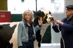 Enschede 26 februari 2019
Presentatie cast van Hanna van Hendrik met oa Huub Stapel en Johanna ter Steege. Presentatie is op vliegveld Twente.