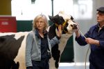 Enschede 26 februari 2019
Presentatie cast van Hanna van Hendrik met oa Huub Stapel en Johanna ter Steege. Presentatie is op vliegveld Twente.