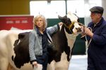 Enschede 26 februari 2019
Presentatie cast van Hanna van Hendrik met oa Huub Stapel en Johanna ter Steege. Presentatie is op vliegveld Twente.