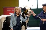 Enschede 26 februari 2019
Presentatie cast van Hanna van Hendrik met oa Huub Stapel en Johanna ter Steege. Presentatie is op vliegveld Twente.