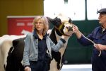 Enschede 26 februari 2019
Presentatie cast van Hanna van Hendrik met oa Huub Stapel en Johanna ter Steege. Presentatie is op vliegveld Twente.